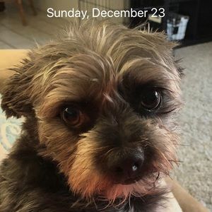 Meet your Posher, Castillo